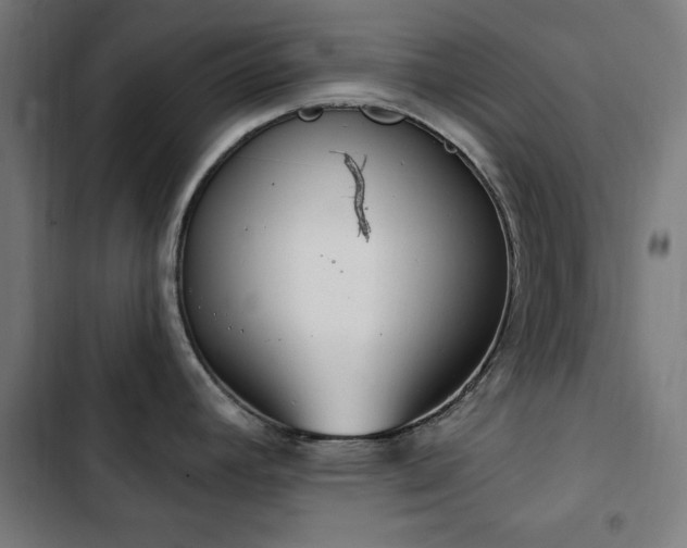 X0000103441392200809121352