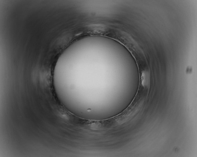 X0000103441395200809121352