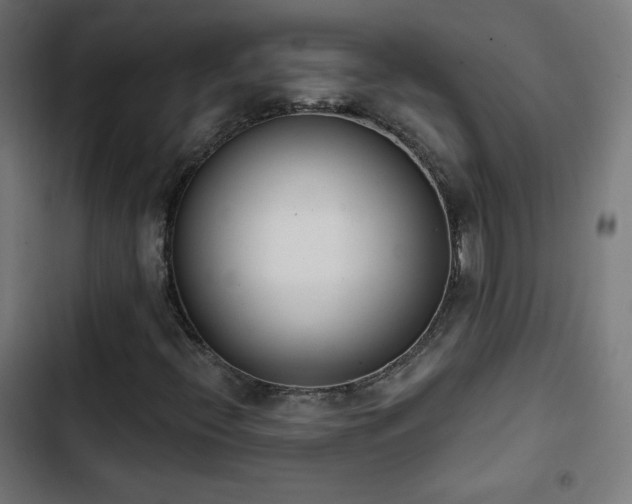X0000103441396200809121352