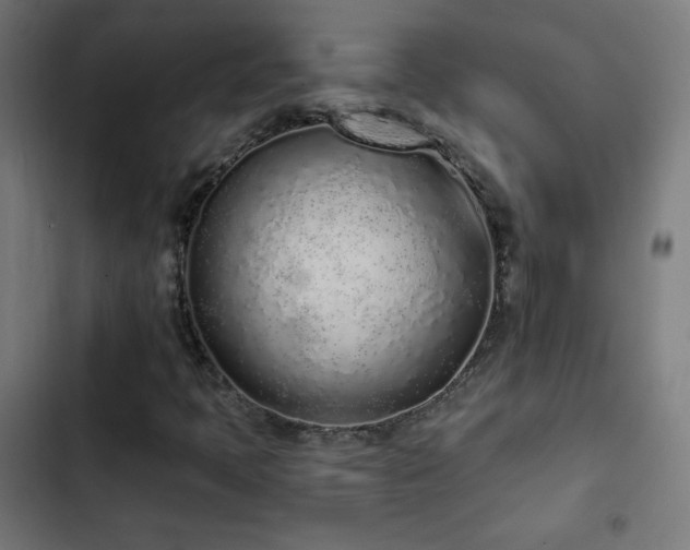 X0000103441397200809121352