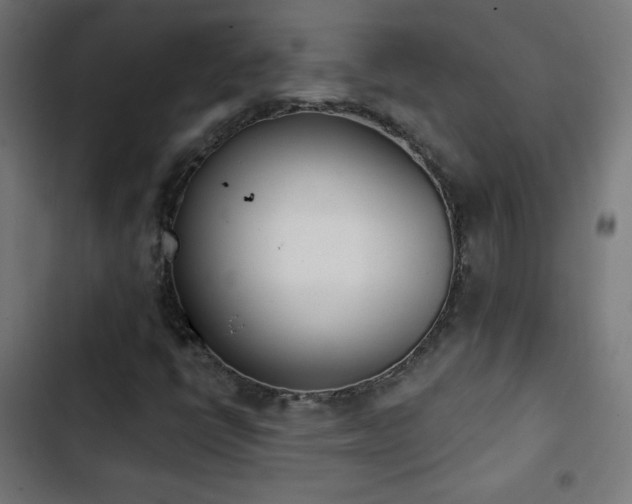 X0000103441398200809121352