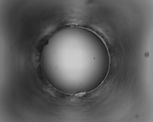X0000103441399200809121352