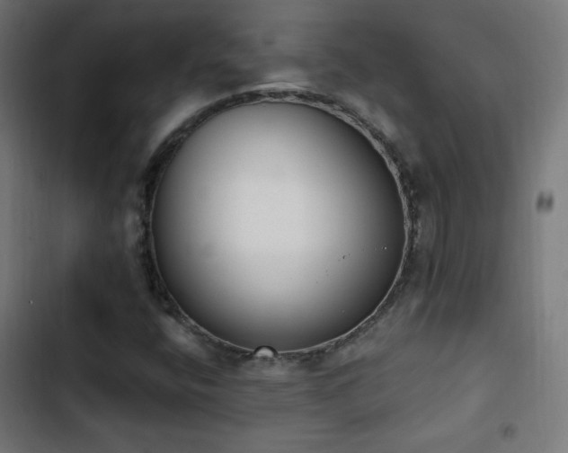 X0000103441400200809121352