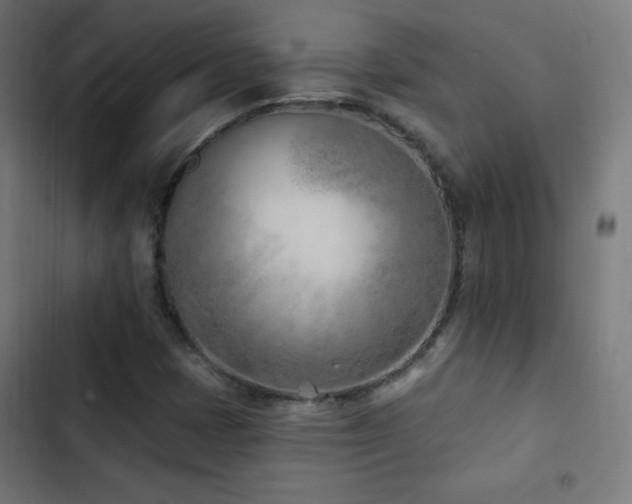 X0000103441401200809121352