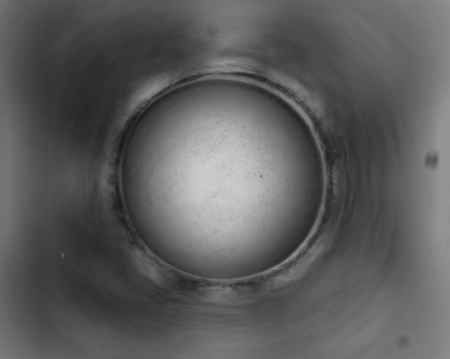 X0000103441405200809121352