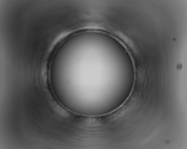 X0000103441408200809121352