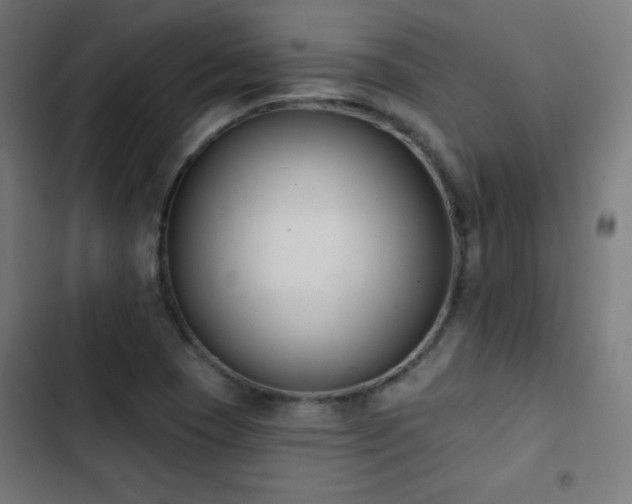 X0000103441409200809121352