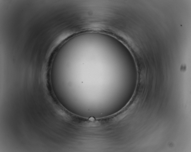 X0000103441410200809121352