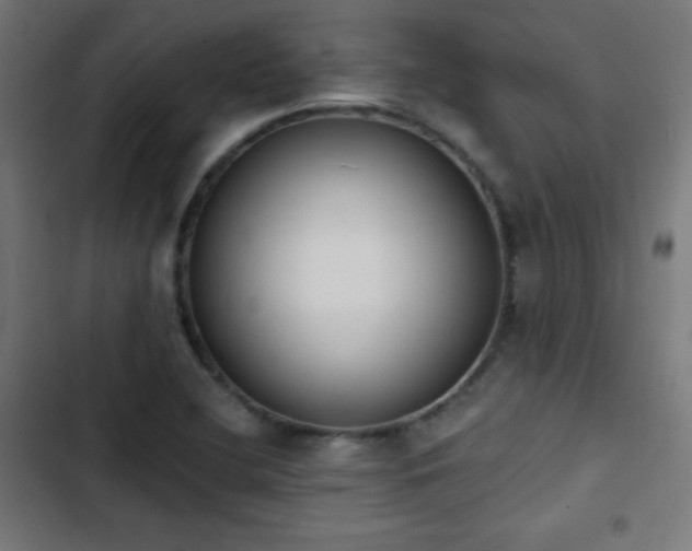 X0000103441412200809121352