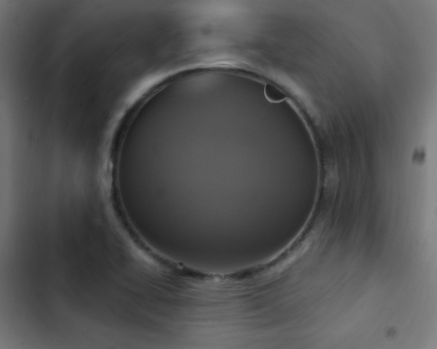 X0000103441414200809121352