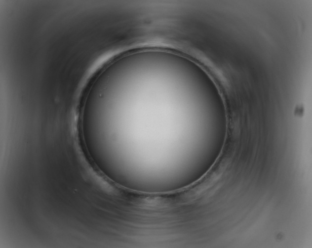 X0000103441416200809121352