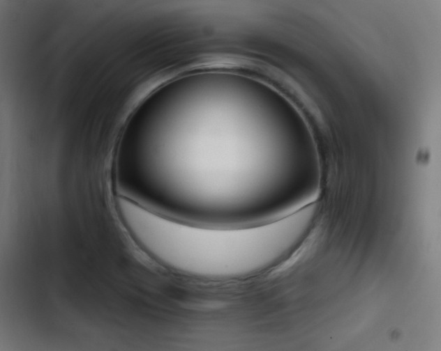 X0000103441417200809121352