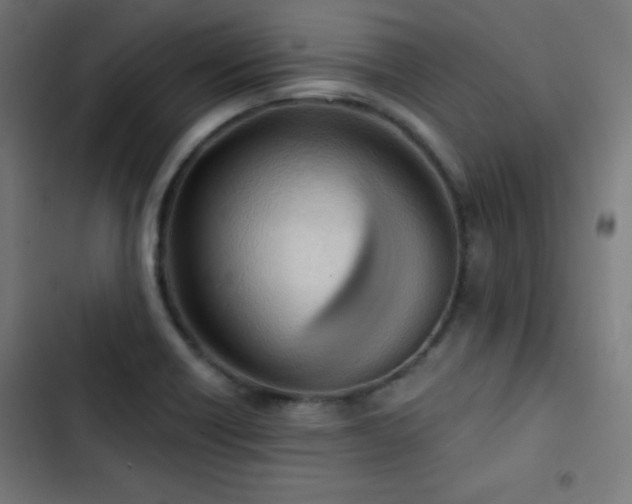 X0000103441418200809121352