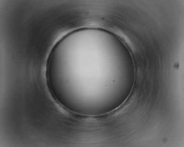 X0000103441424200809121352