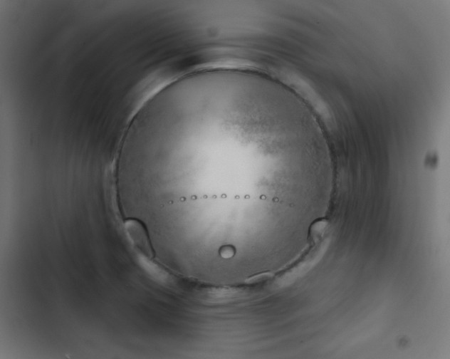 X0000103441425200809121352
