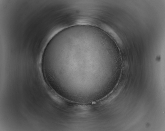 X0000103441427200809121352