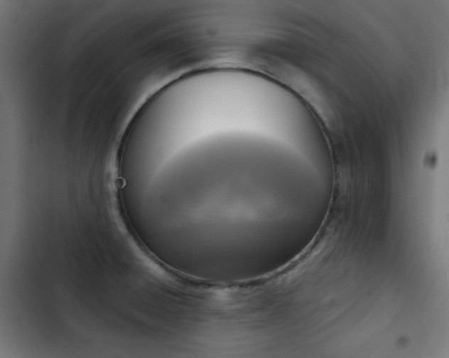 X0000103441428200809121352