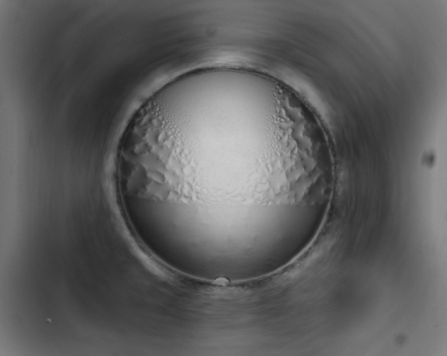 X0000103441429200809121352