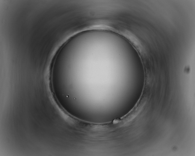 X0000103441430200809121352