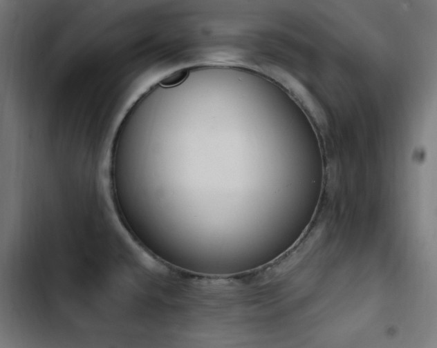 X0000103441432200809121352