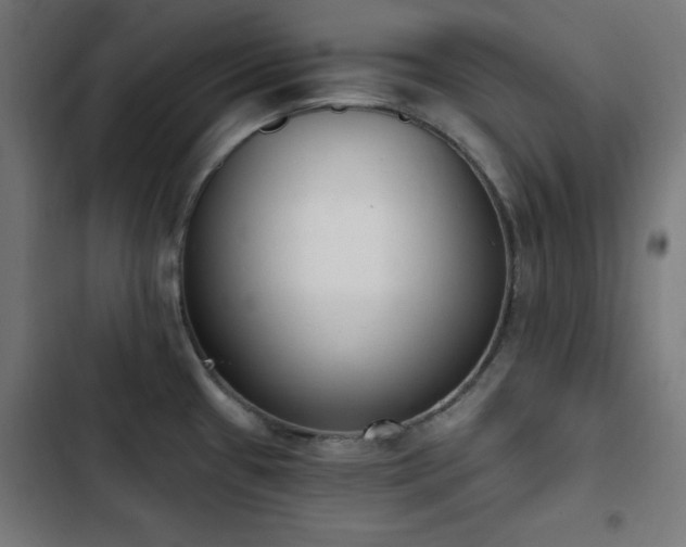 X0000103441433200809121352