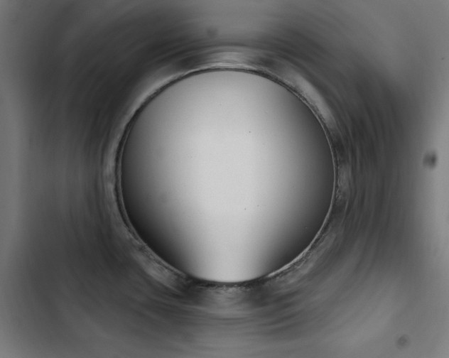 X0000103441435200809121352