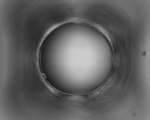 X0000103441437200809121352