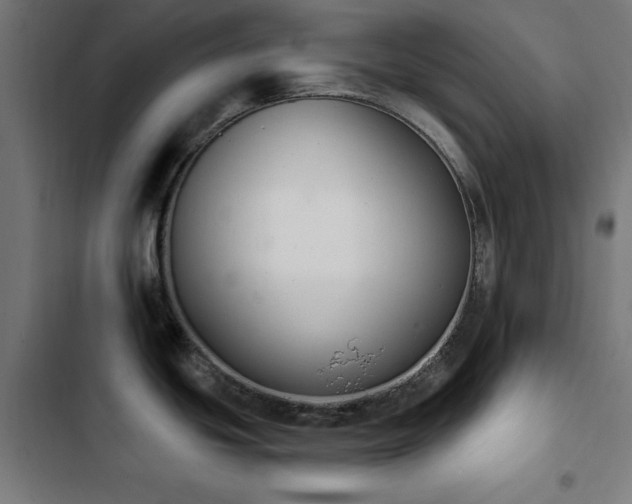 X0000103441439200809121352