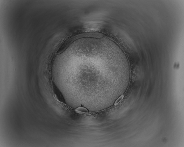 X0000103441441200809121352