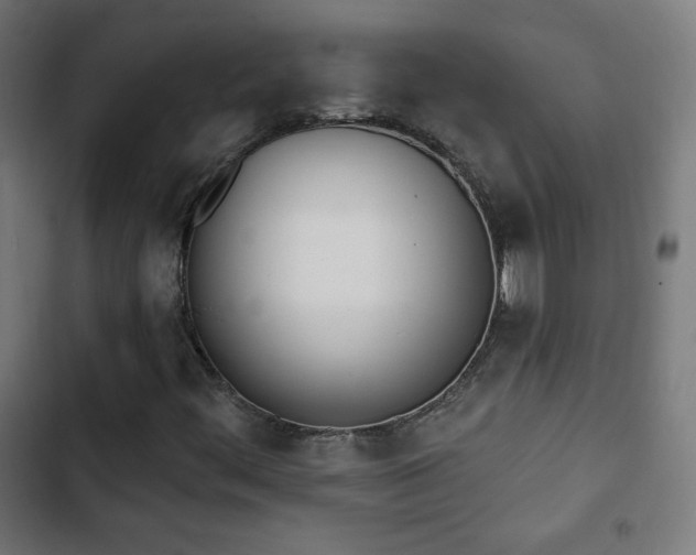 X0000103441444200809121352