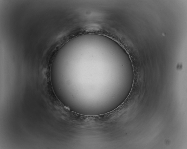 X0000103441445200809121352
