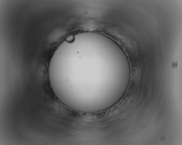 X0000103441446200809121352