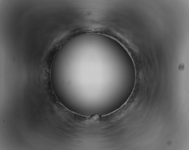 X0000103441447200809121352
