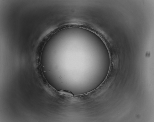 X0000103441448200809121352
