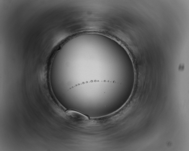 X0000103441450200809121351