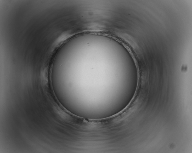 X0000103441451200809121351