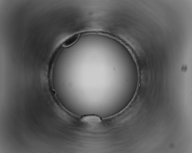 X0000103441452200809121351