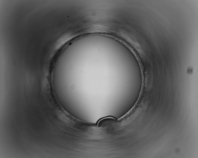 X0000103441453200809121351