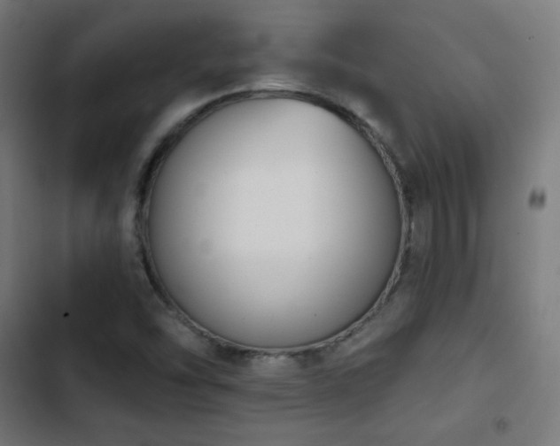 X0000103441454200809121351