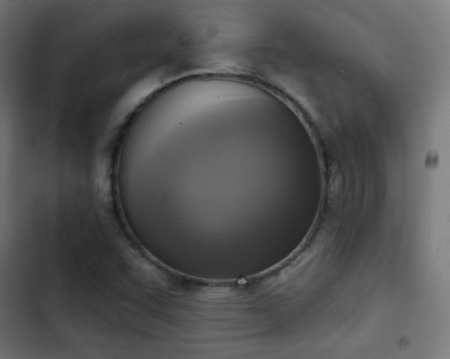X0000103441455200809121351