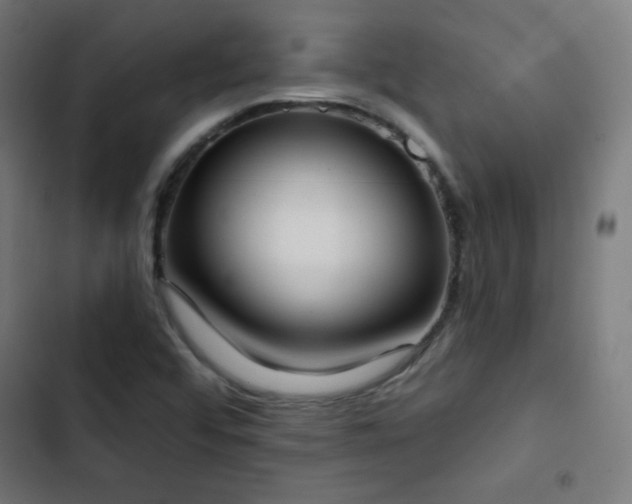 X0000103441456200809121351