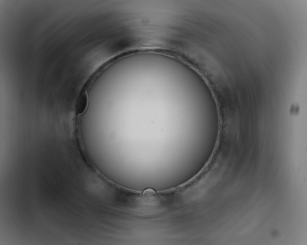 X0000103441457200809121351