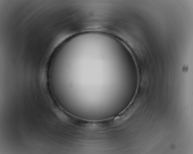 X0000103441458200809121351