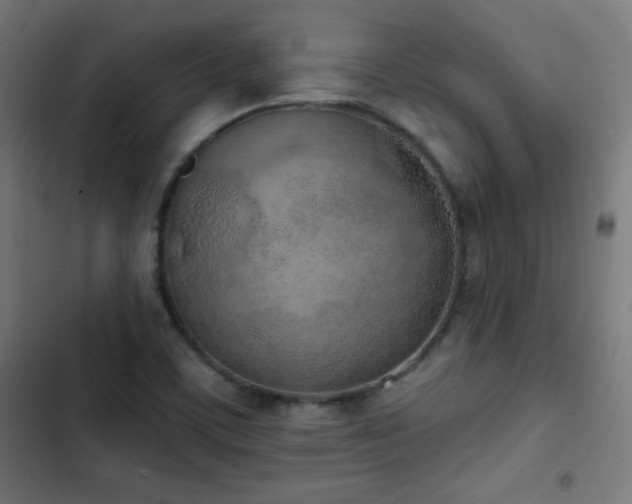 X0000103441459200809121351
