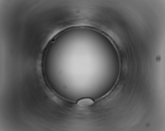 X0000103441460200809121351
