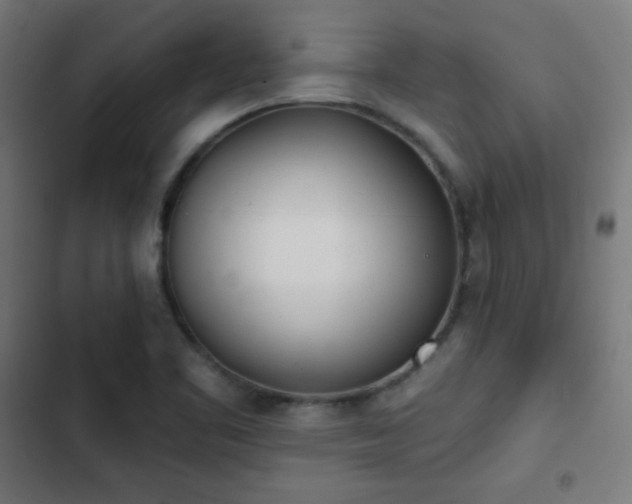 X0000103441461200809121351