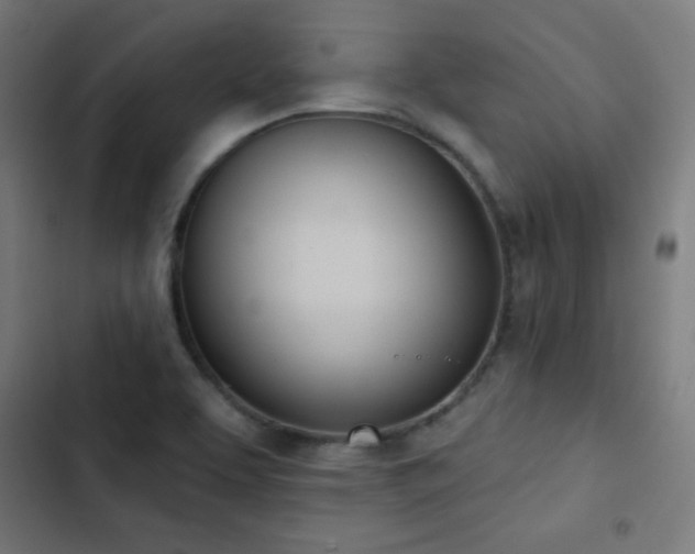 X0000103441463200809121351