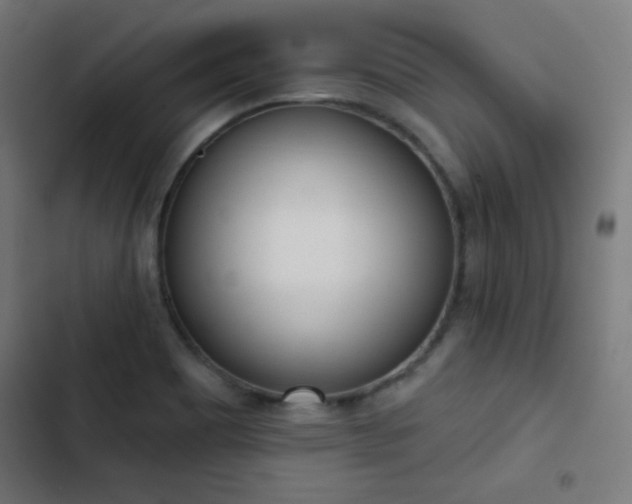 X0000103441465200809121351