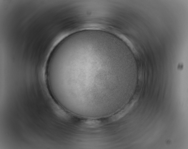X0000103441466200809121351