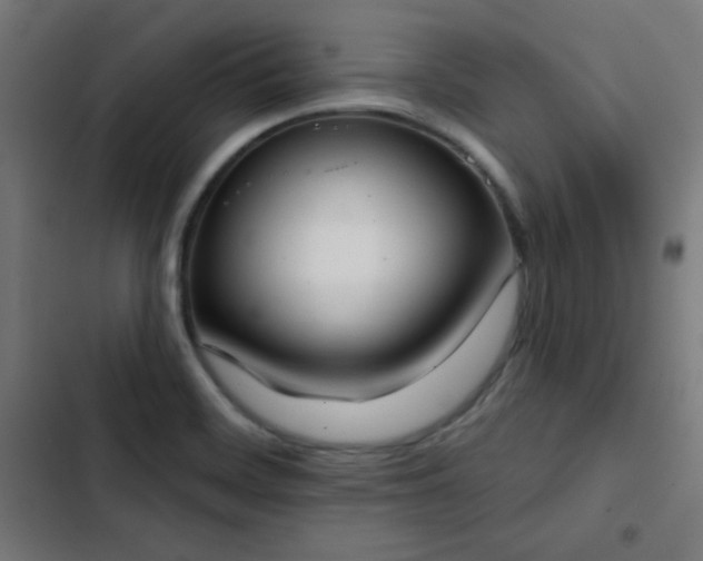 X0000103441468200809121351